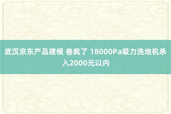 武汉京东产品建模 卷疯了 18000Pa吸力洗地机杀入2000元以内