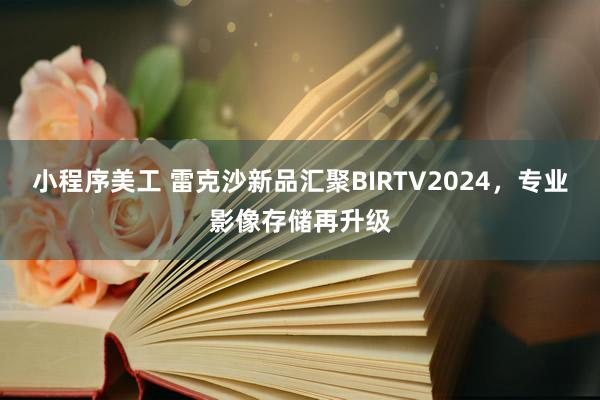 小程序美工 雷克沙新品汇聚BIRTV2024，专业影像存储再升级