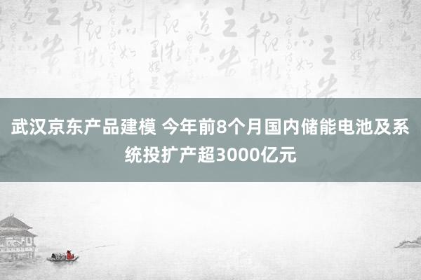 武汉京东产品建模 今年前8个月国内储能电池及系统投扩产超3000亿元